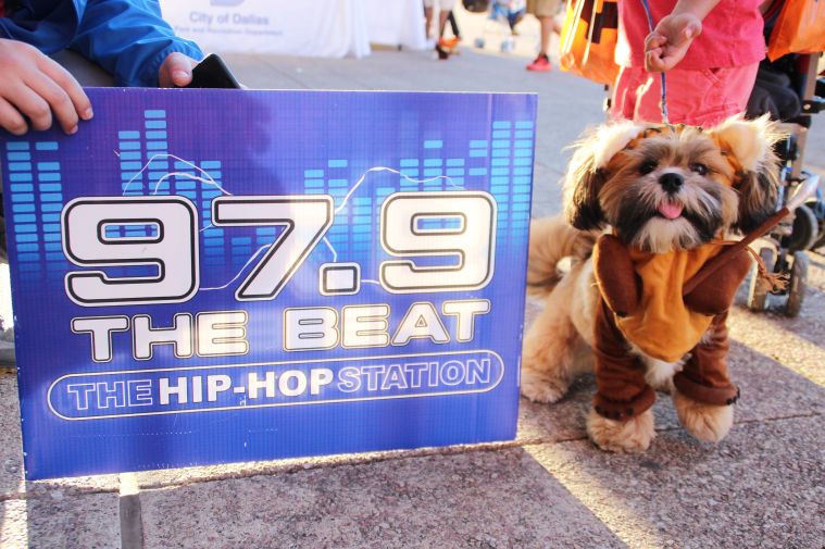 Pumpkins on the Plaza