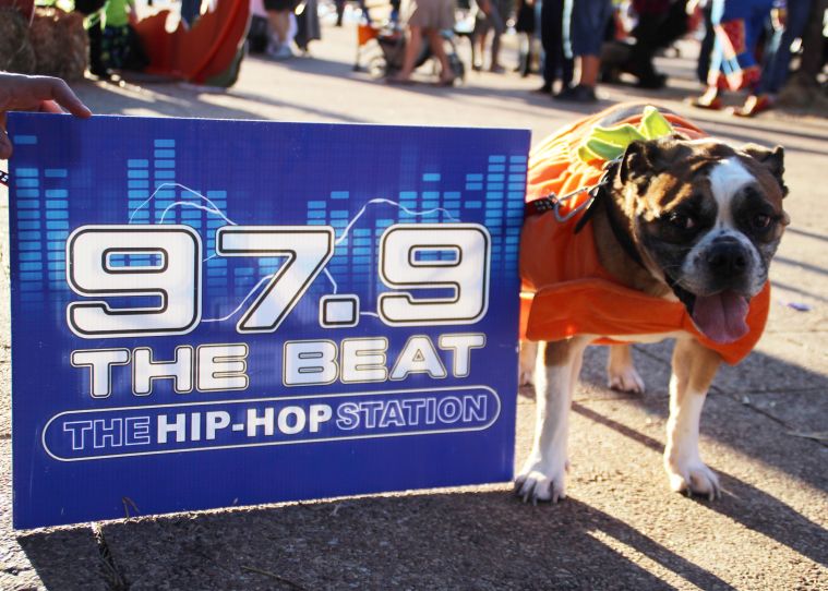 Pumpkins on the Plaza