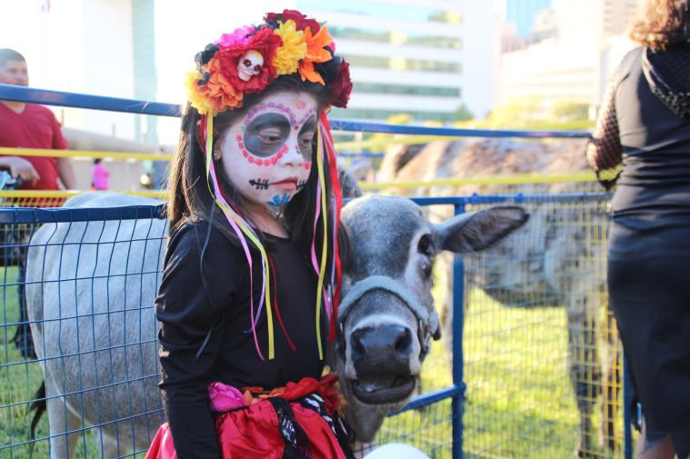 Pumpkins on the Plaza
