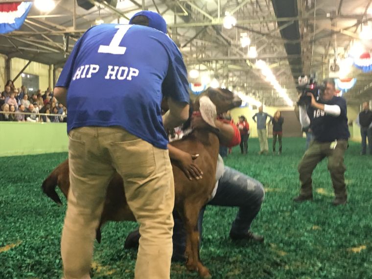 Victory @ Goat Milking Contest!!!