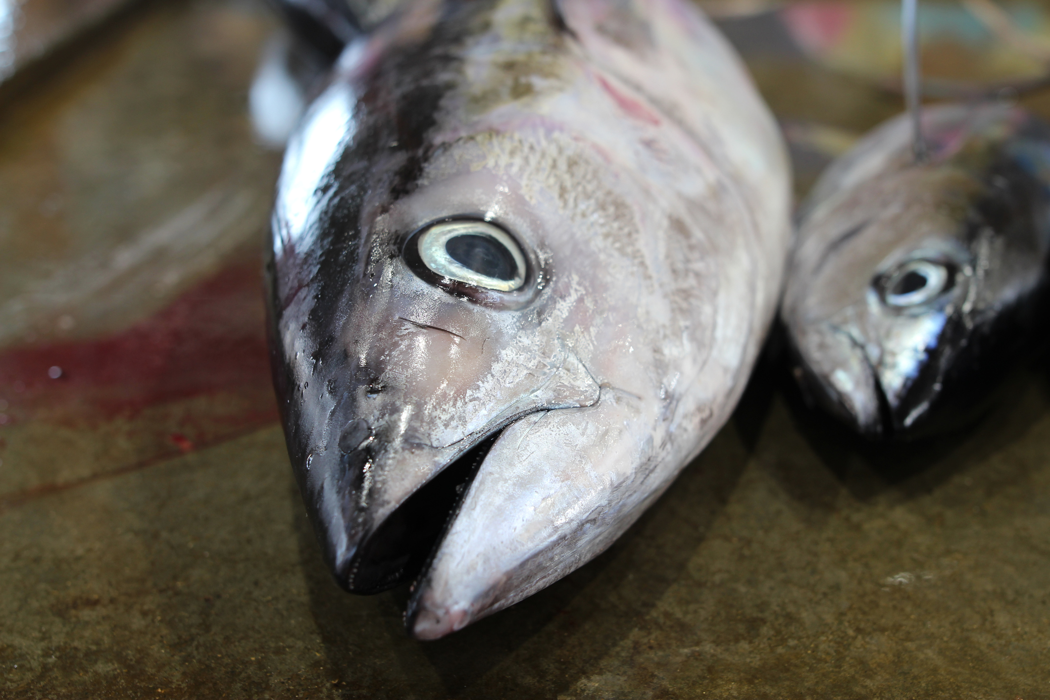 Port Moresby City Life