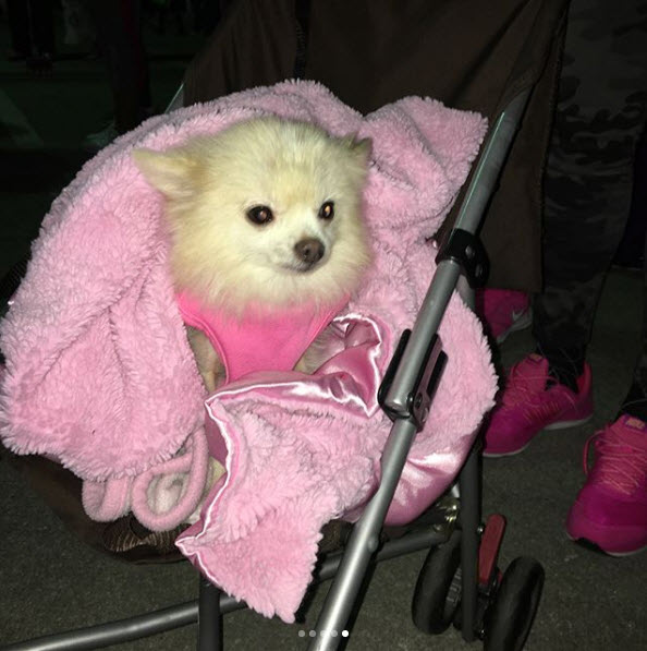 Susan G. Komen - Race for the Cure 2017