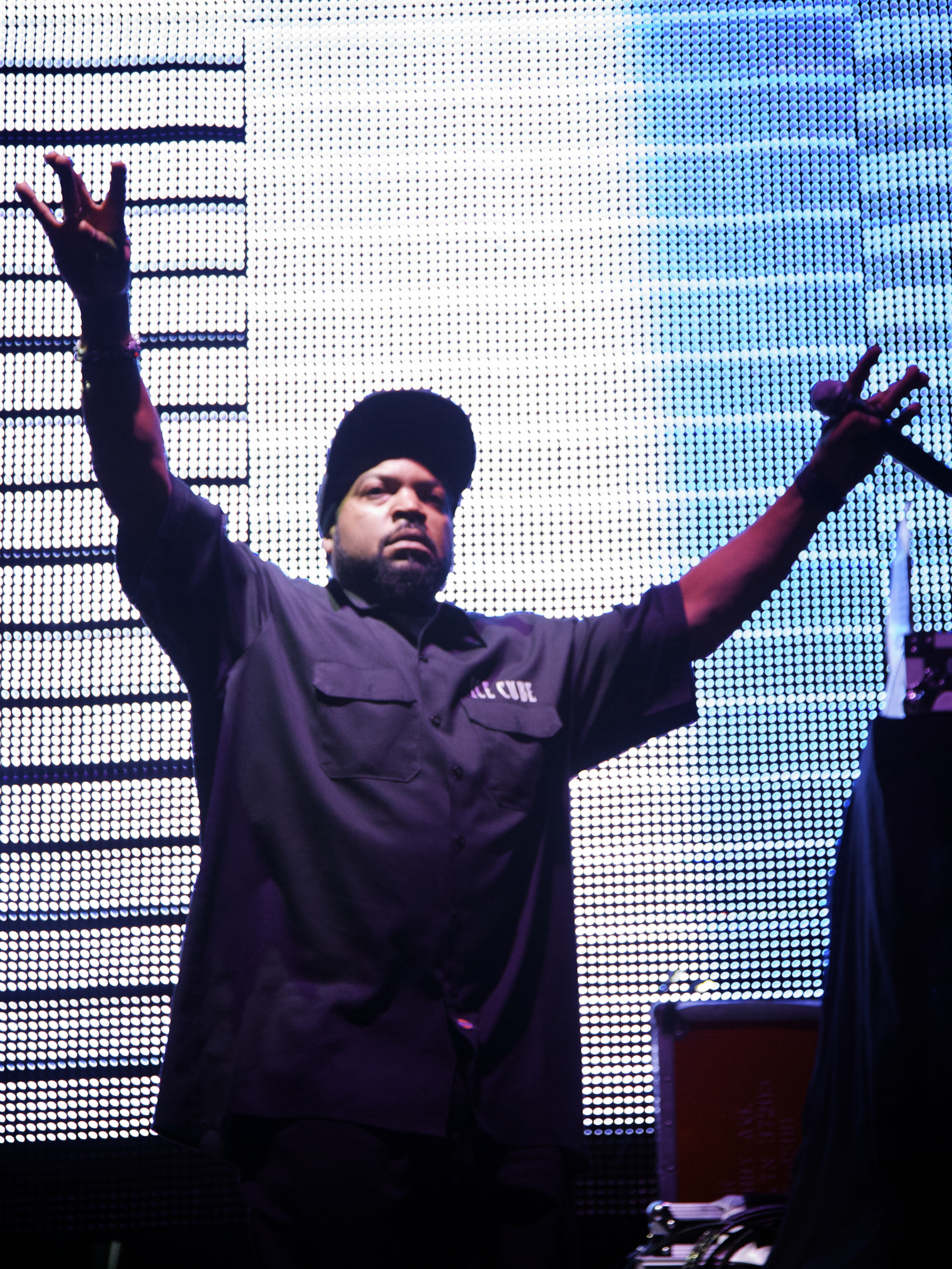 USA – 2014 Bonnaroo Music Festival