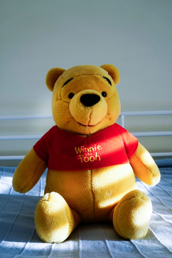 Winnie the Pooh stuffed toy