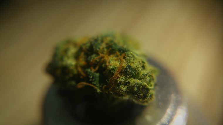 Remembering The Best 4/20 Marijuana Photos