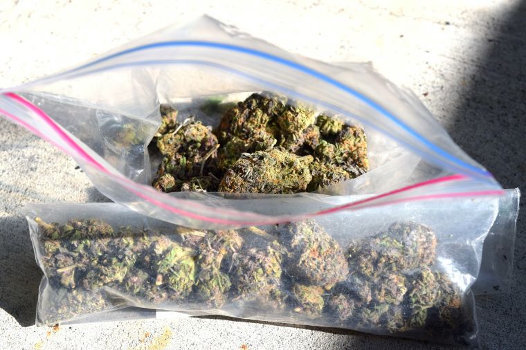 Remembering The Best 4/20 Marijuana Photos