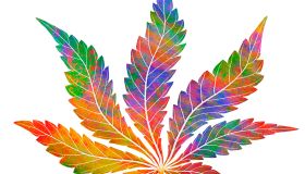 Cannabis leaf design