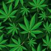 Seamless Background Cannabis Leaf