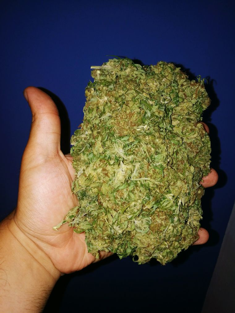 Remembering The Best 4/20 Marijuana Photos