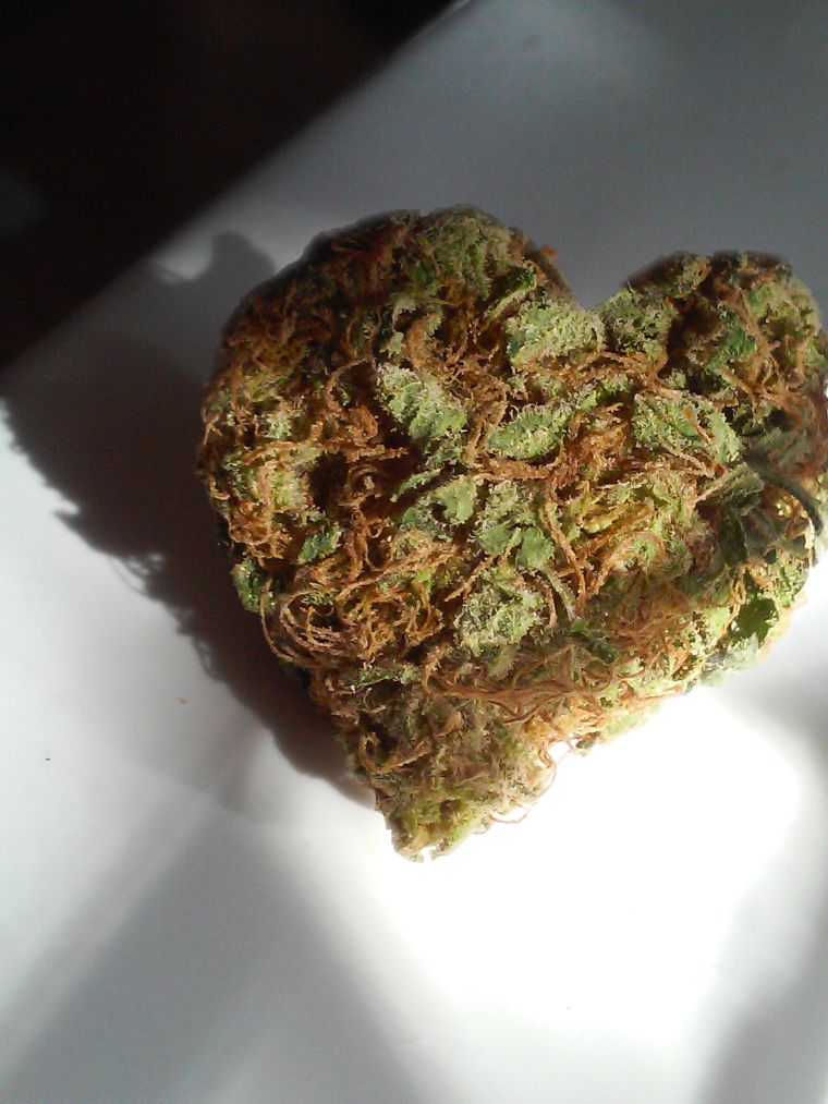 Remembering The Best 4/20 Marijuana Photos