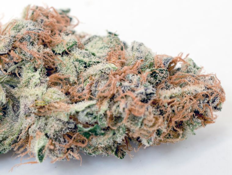 Remembering The Best 4/20 Marijuana Photos