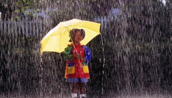 Boy (4-6) wearing raincoat, standing under umbrella in rain