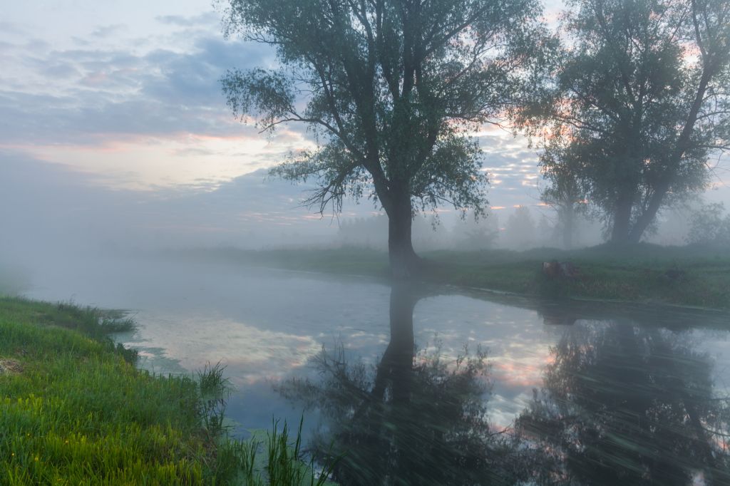 Beautiful misty dawn in the spring on the river