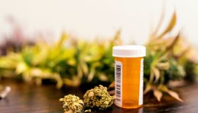 Marijuana buds sitting next to prescription medicine bottle