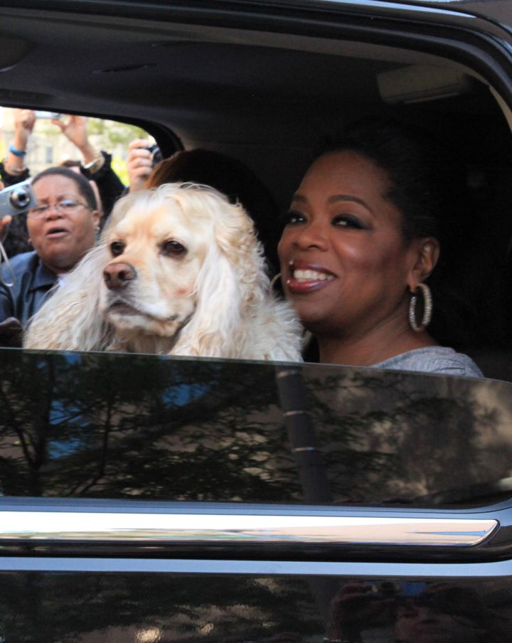 Oprah Winfrey Leaves Her Studio After Her Final Taping