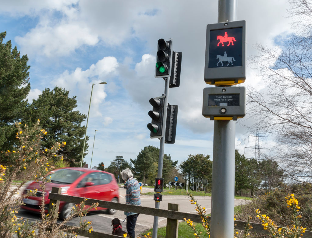 Pedestrian With Dog Using Pelican Crossing On Road At Dibden Purlieu