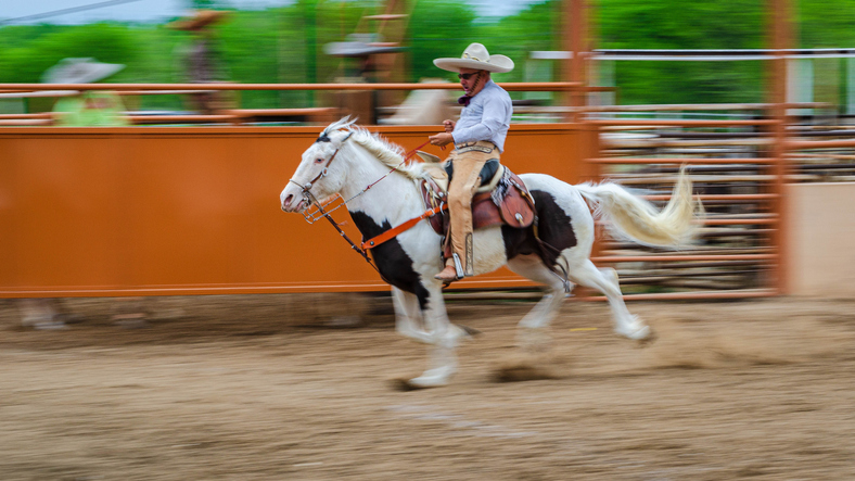 A Mexican Charro on a Galloping Horse