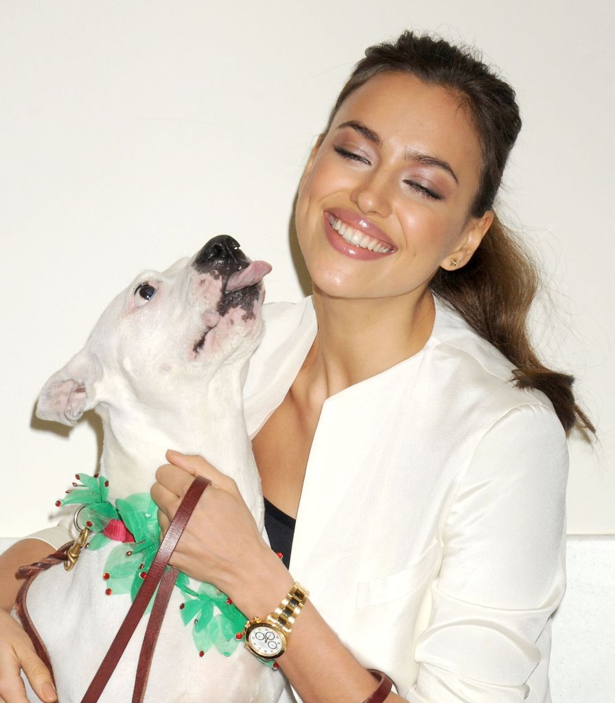 irina shayk - celebs and pitbulls