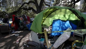 Mosswood Park Homeless Camp Clearing