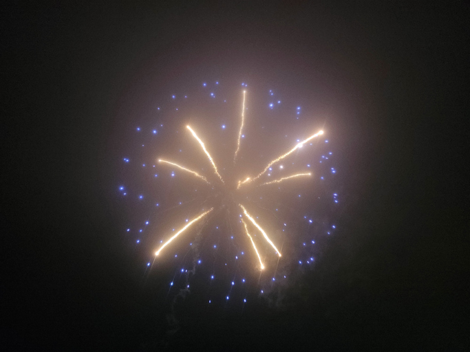 Fireworks in Night Sky