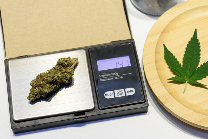 Cones of cannabis flower buds on the digital scales and green leaf. Measuring of Buds of medical marijuana. Weighing cannabis for sale. Concept of legalization of soft drugs.