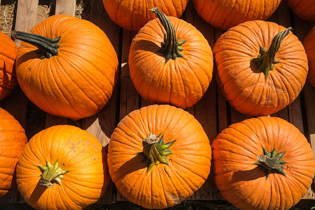 US-TRADITION-LIFESTYLE