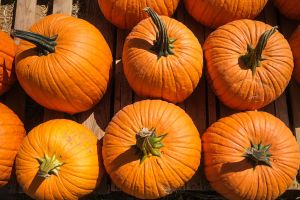 US-TRADITION-LIFESTYLE