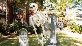 Skeletons for St. Jude