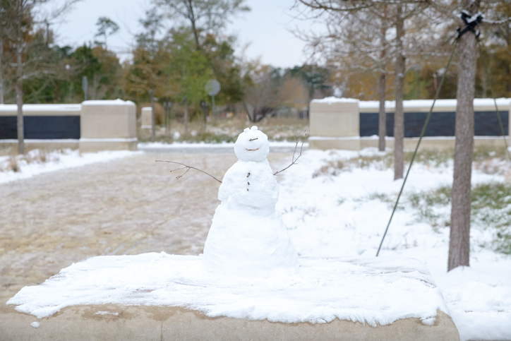 Snow day in Houston, TX and pure white snow covers roofs, trees, plants, driveways, and streets and Houston takes a work from home day