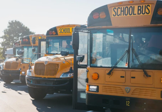 Row of yellow school buses parked on a street, with "SCHOOL BUS" text visible on the side of each bus.